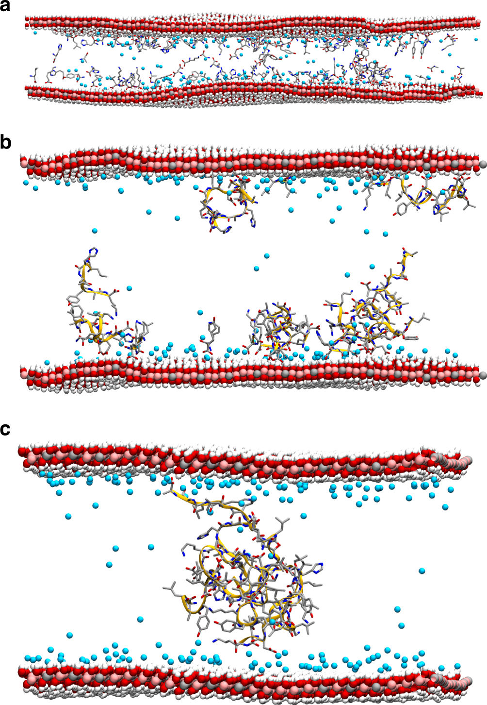 clay catalysis RNA