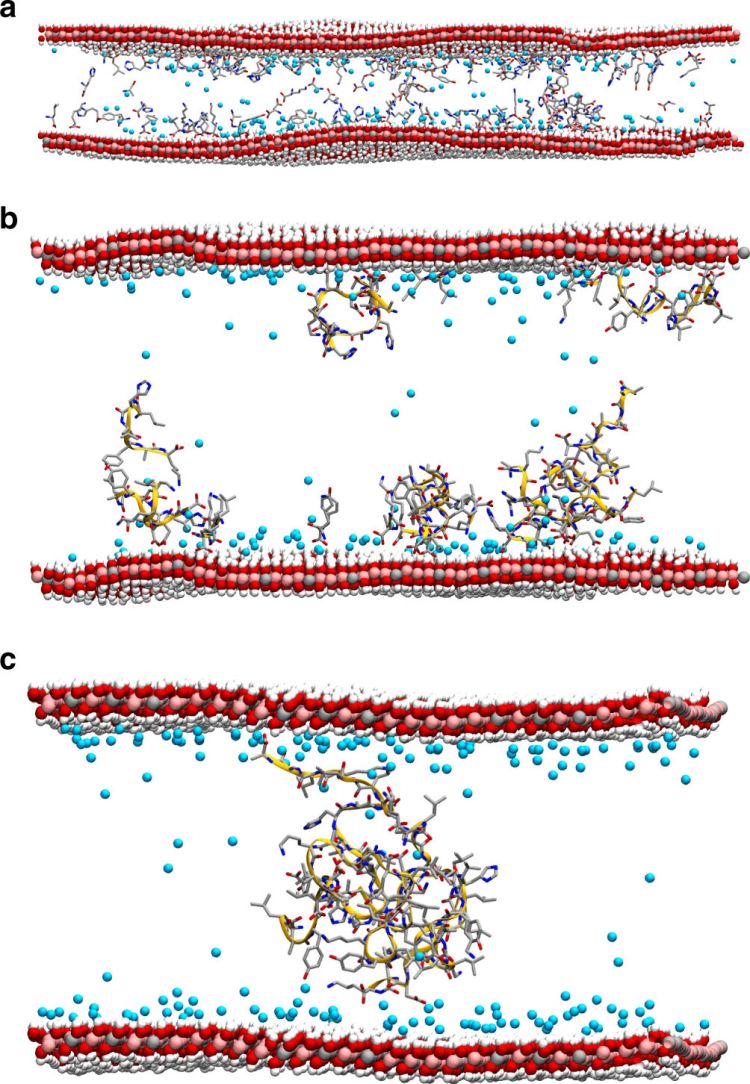 clay catalysis RNA