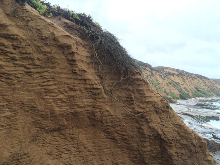 First Big Upload January 2016 905