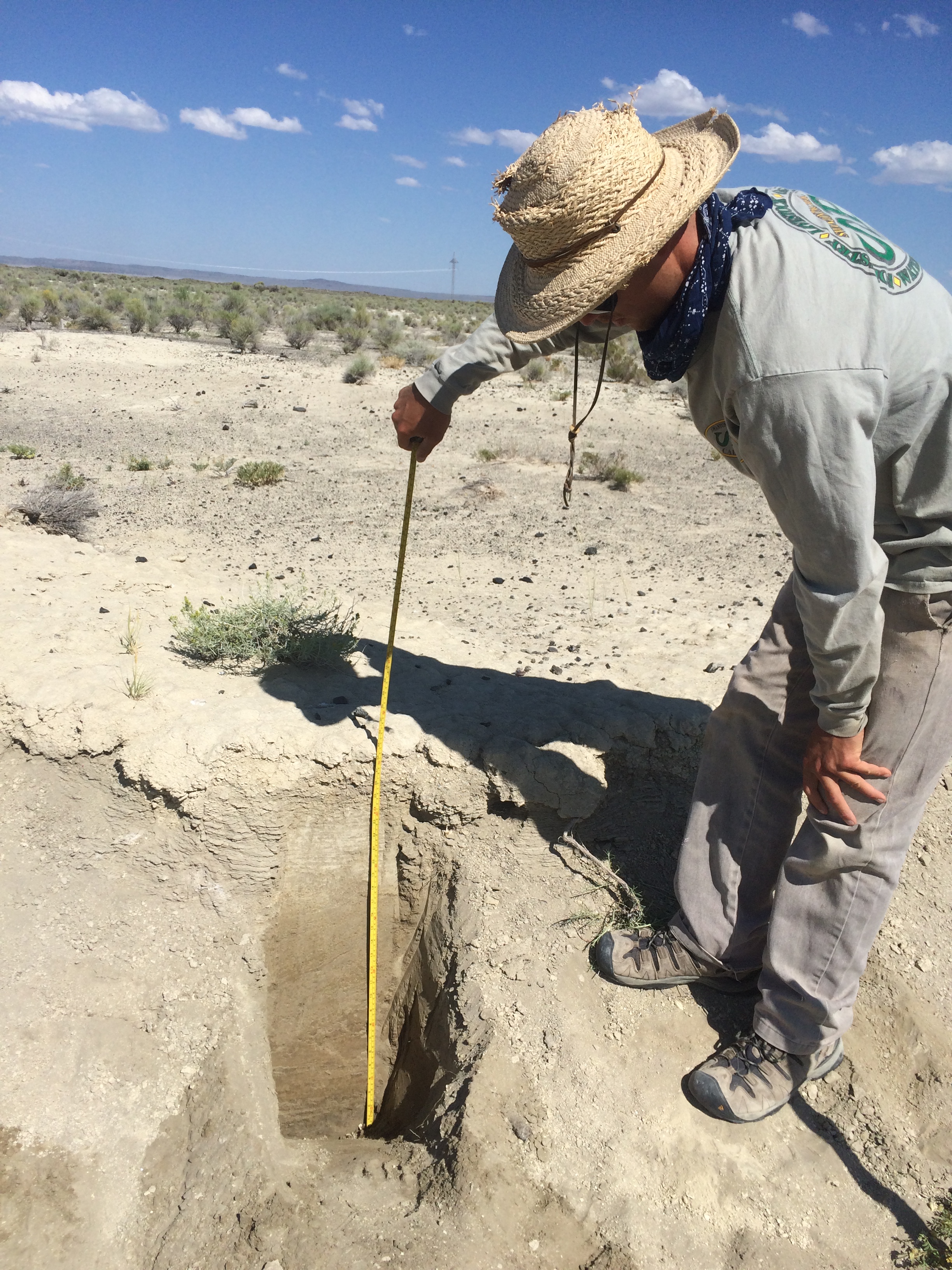 July and mammoth excavation 463