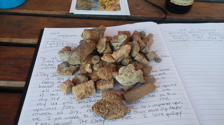 Massive upload July 2019 2379