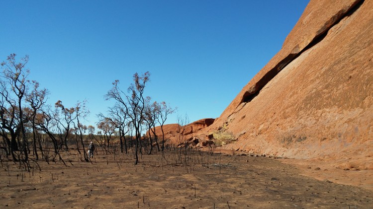 Massive upload July 2019 2445