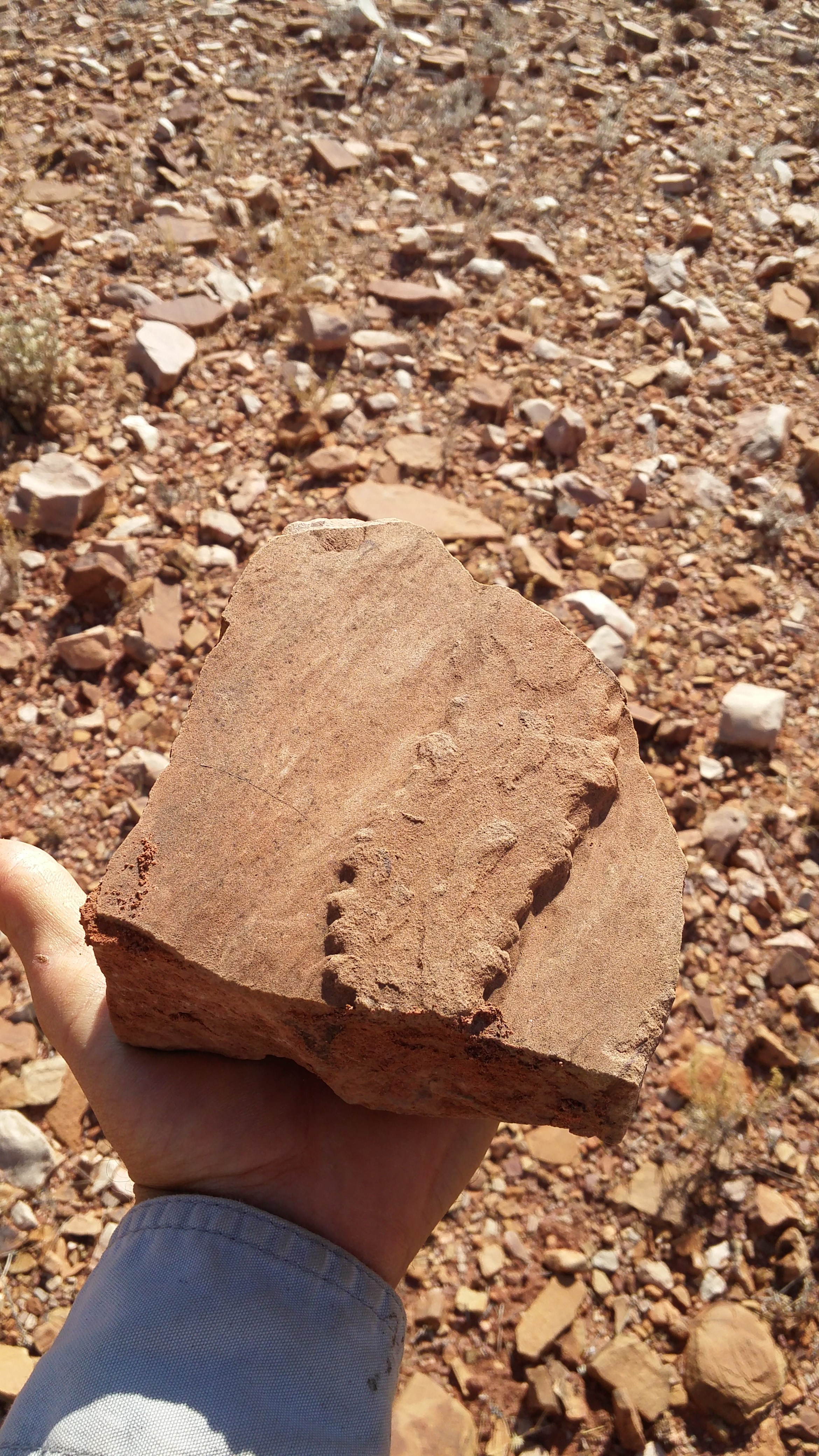 Massive upload July 2019 2800