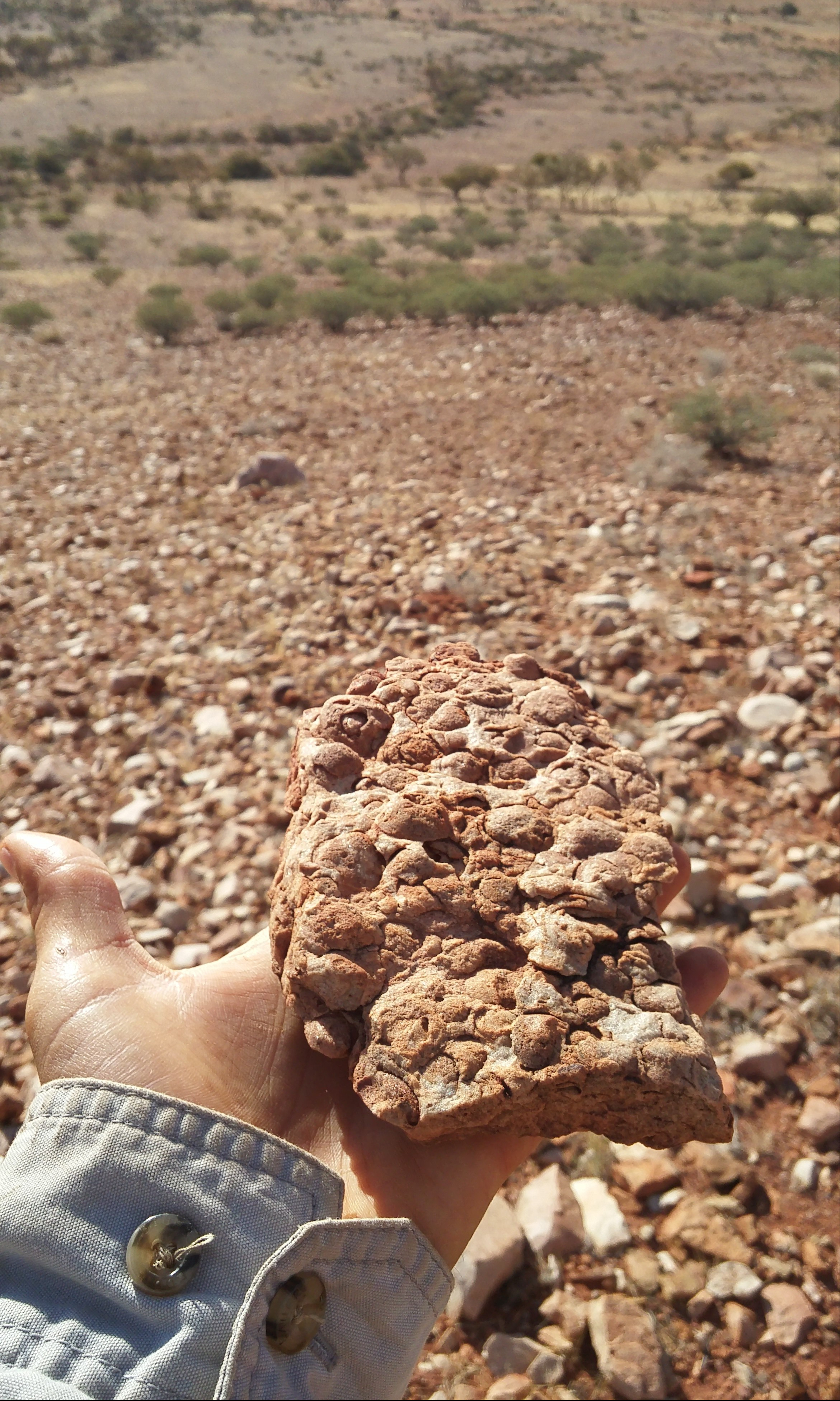 Massive upload July 2019 2805