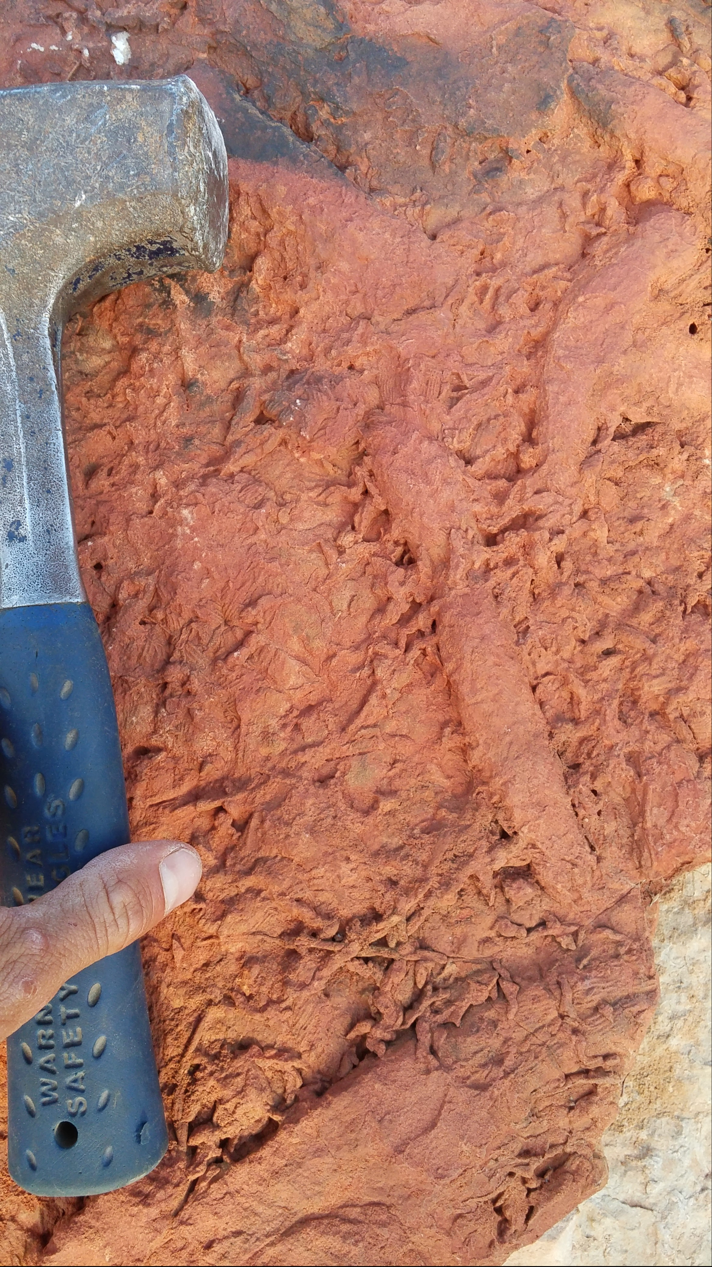 Massive upload July 2019 2812