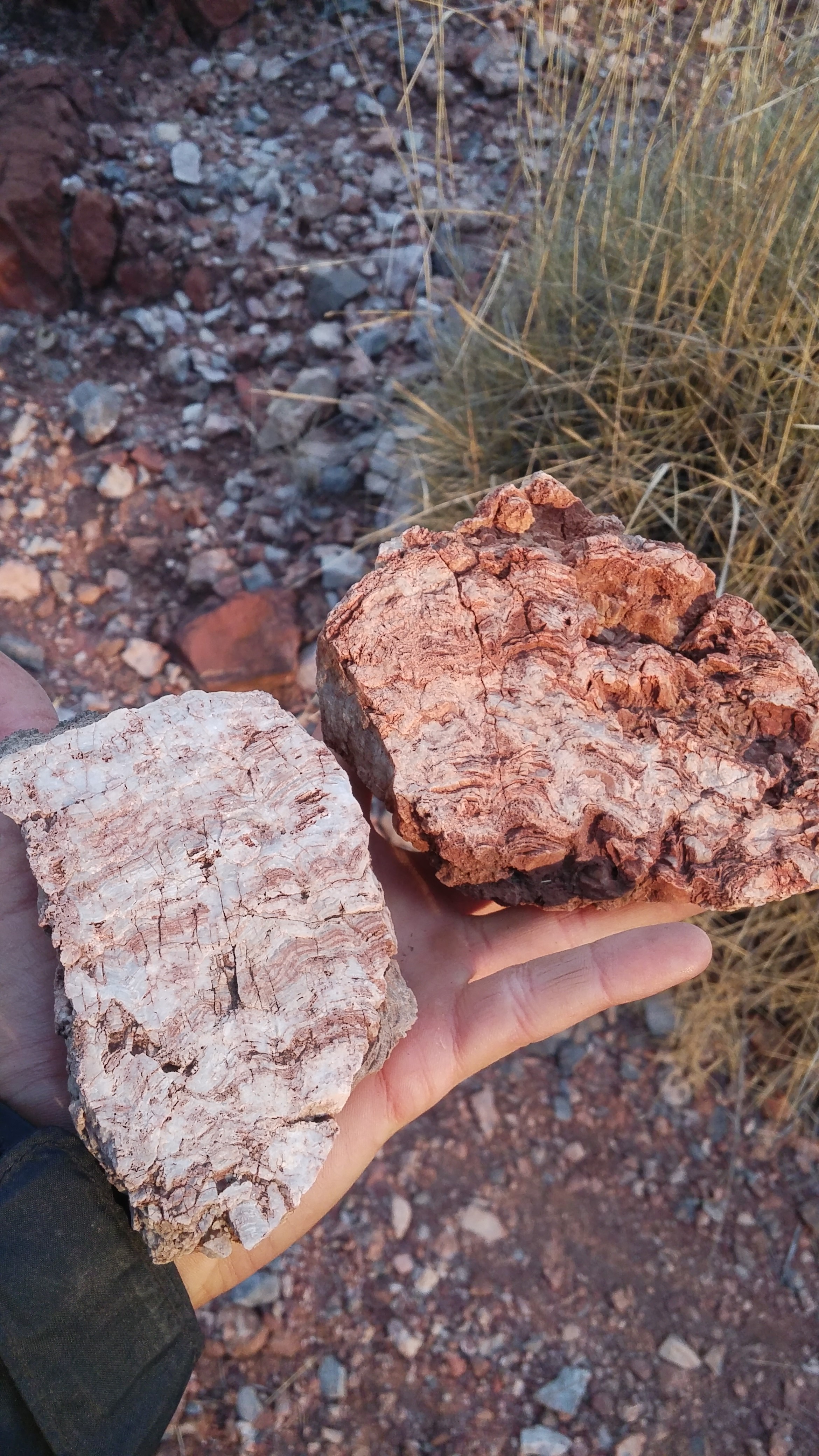 Massive upload July 2019 5445