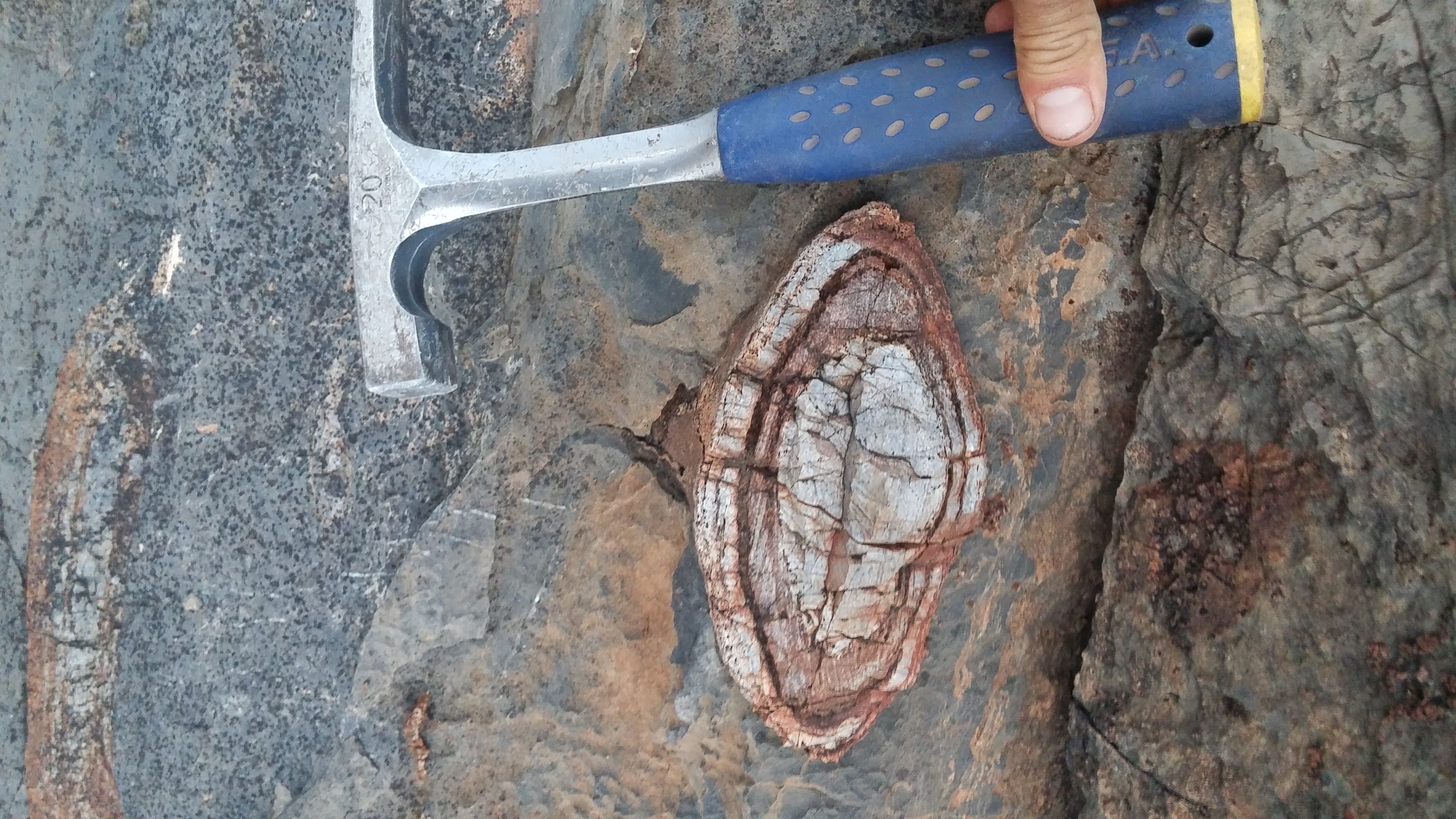 Massive upload July 2019 5451