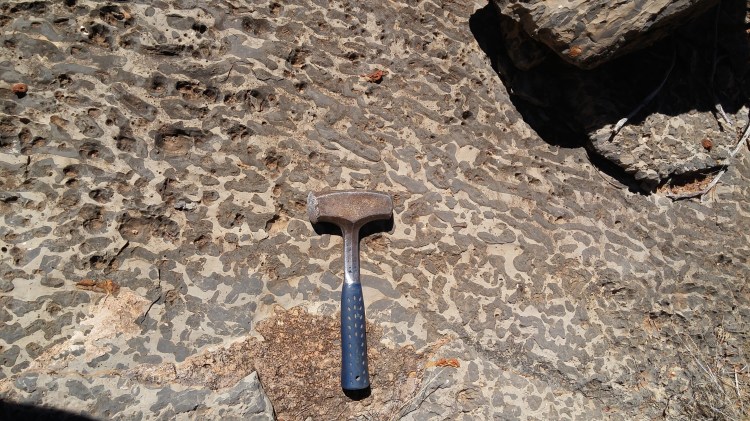 Massive upload July 2019 5459