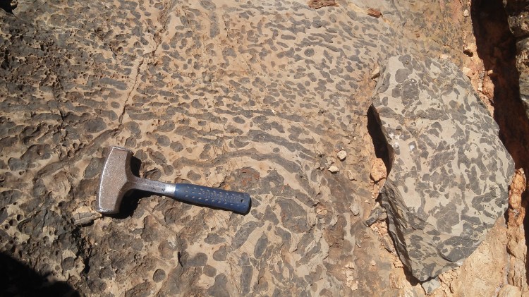 Massive upload July 2019 5468