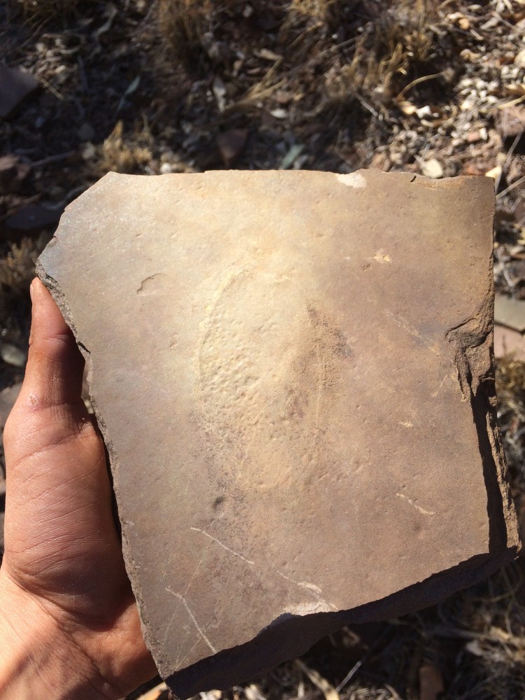 Summer 2018 - Australia 105