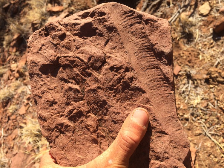 Summer 2018 - Australia 140