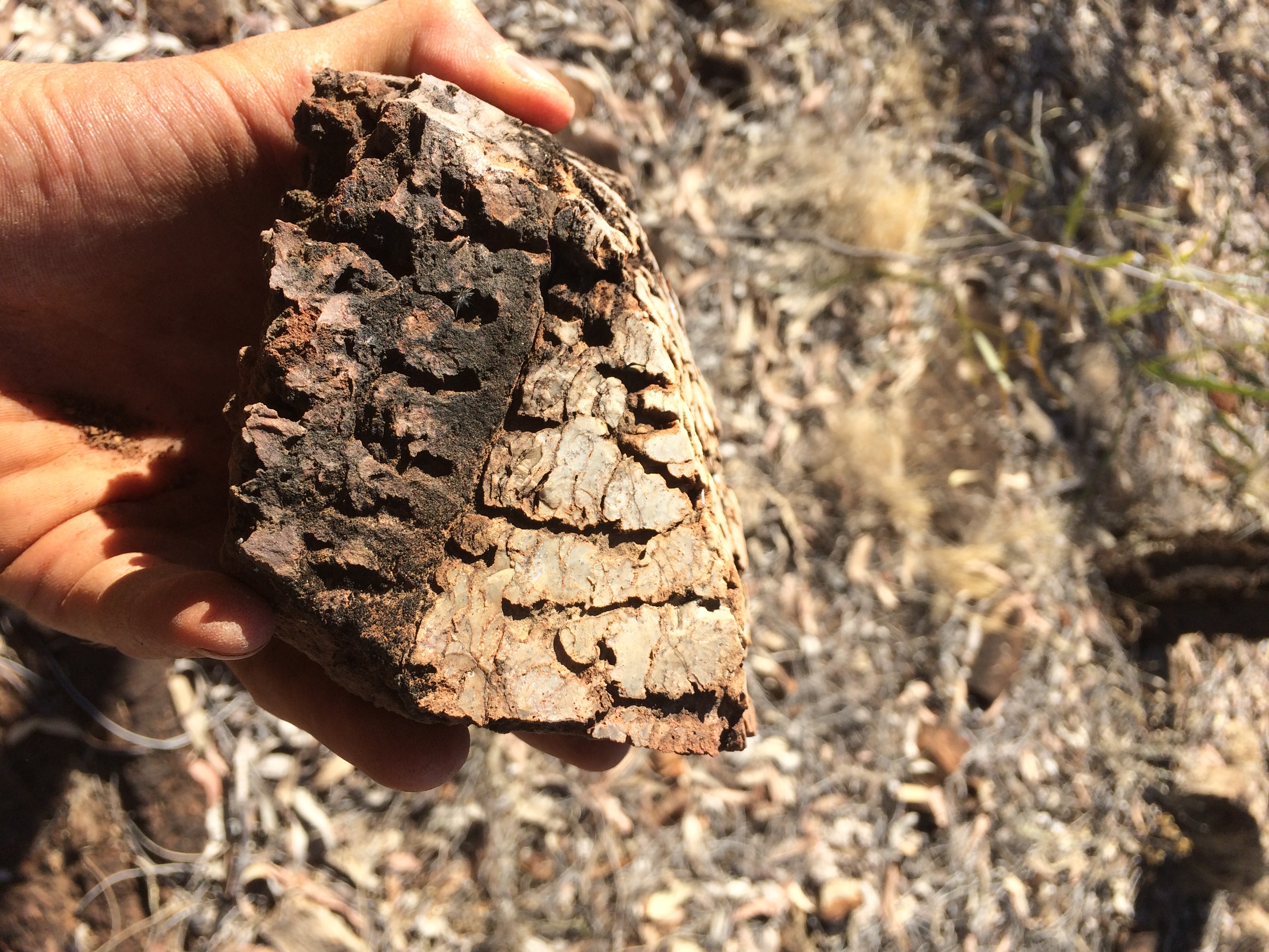 Summer 2018 - Australia 179